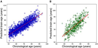 Cerebrovascular lesion loads and accelerated brain aging: insights into the cognitive spectrum